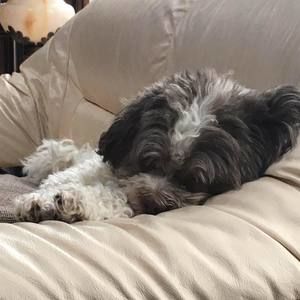 Meet your Posher, Roberta